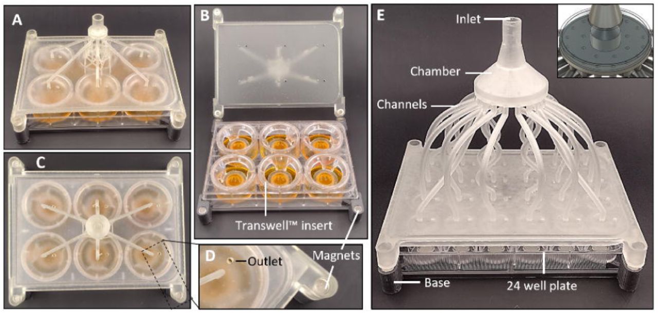 Photographs of open-source 3D-printed 6-well and 24-well manifolds for air–liquid interface exposure studies.
